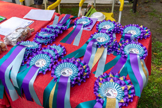 programma-campionato-sociale-29-settembre-2024-bobtail-old-english-sheepdog-italia-giudice-christina-bailey-zottel-club-village-spiaggia-romea-parco-delta-del-Po