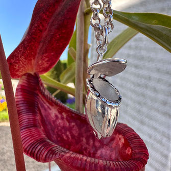 Monats-Journal von perlenpool Schmuck aus der Designwerkstatt  JANUAR 2026