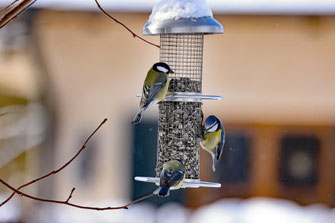 Foto: Ingo Rittscher