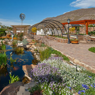 Mirtehof Guest Farm Estate Prince Albert Karoo Western Cape