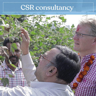 CSR consultancy