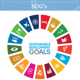 Global goals for sustainable development Dibella's actions contribute to the implementation of the SDGs.