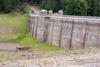 Bild: Wünschendorf Erzgebirge Talsperre Neunzehnhain 1 2009
