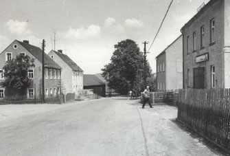 Bild: Wünschendorf Erzgebirge Panzerlinde