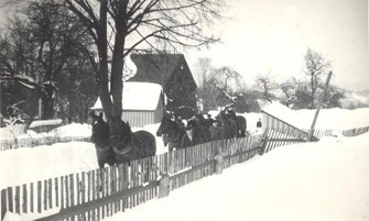 Bild: Wünschendorf Erzgebirge Pferdeschneepflug Erzgebirge