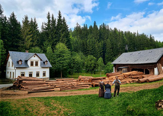 Bild: Findeisen-Schneidemühle 1907/08 Wünschendorf Erzgebirge