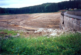 Bild: Wünschendorf Erzgebirge Talsperre Neunzehnhain 2