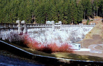 Bild: Wünschendorf Erzgebirge Talsperre Neunzehnhain 1 Staumauer