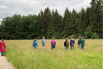 Wiese_Holocaust_Denkmal