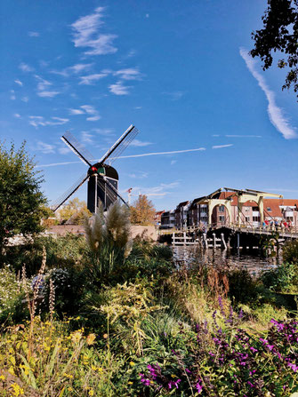 Molen de Put in Leiden