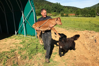 Ferme du Chalabrais - Foussarigues - Rivel