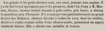 1878, Revue des eaux et forêts, exposition des races canines