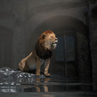 Hof van de Leeuw / Lion's Court