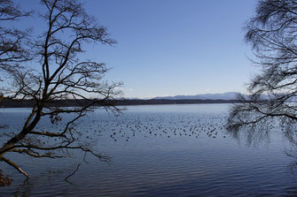 Roseninelbucht  © Pit Brützel 