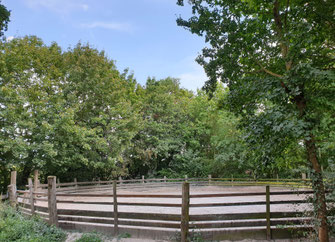 Roundpen 20m x 20m