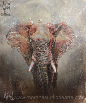 retrato al oleo Mauricio Moran Estudio De Arte Elefante