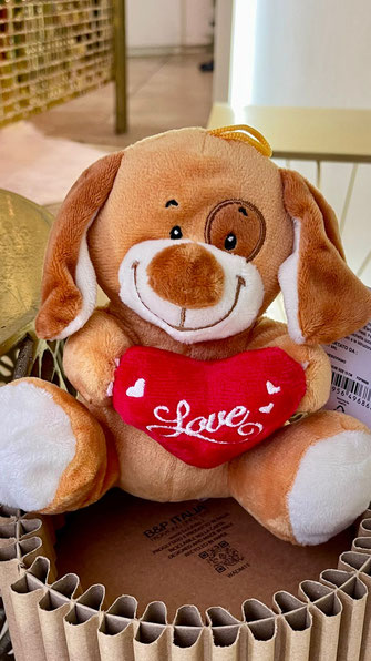 new teddy