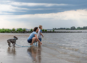 Familienfotos im Freien - Elbstrand