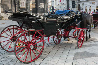 wien altstadt fiaker stadtansichten
