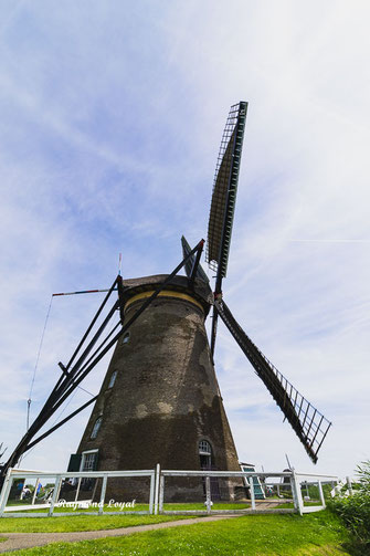 kinderdijk museummolen nederwaard