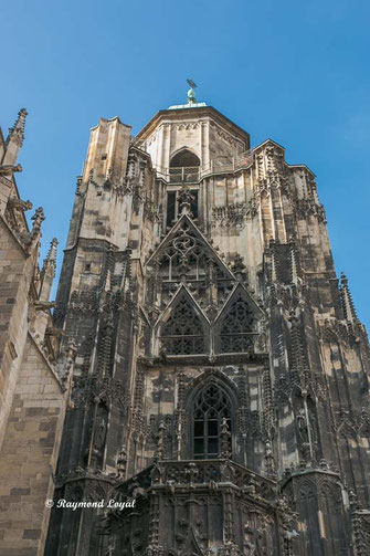 saint stephens catheddral vienna