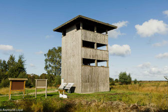 Rehdener Geestmoor