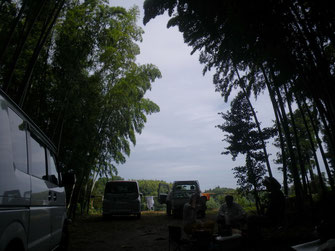 8/9”ゴ～、ザワザワ、カラカラ”通り過ぎた台風の風に賑やかな竹林でした。