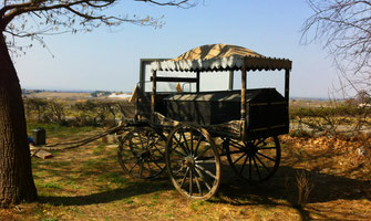 hippomobile-ceremonie-ancienne-cercueil-lyonnais