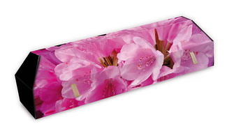 cercueil-en-carton-ab-cremation-brigitte-sabatier-rhododendron