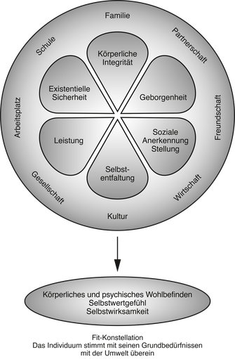 Fit-Prinzip: Darstellung Fit-Konstellation