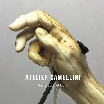 Download the catalogue.