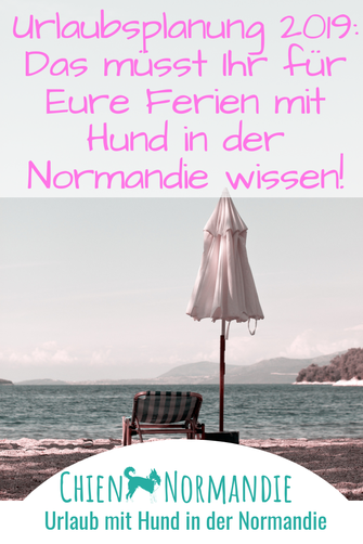 Urlaub mit Hund in der Normandie: Das müsst Ihr 2019 für Euren Sommerurlaub wissen!