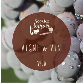 terroir ; dégustation ; oenologie ; vin ; vignoble ; loire ; bio ; biodynamie ; La Roche