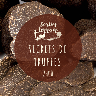 truffe et trufficulture en Touraine - sortie terroir