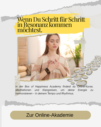 auf der boxofhappiness.academy findet man fast das gesamte Sekturm der Martina M Schuster Akademie