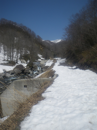 雪の林道の先に見えるのは・・