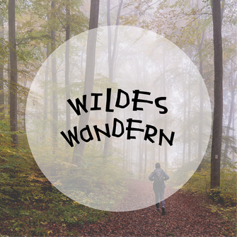 Wandern Erwachsene Jugendliche Entdecken Wald Naturerfahrung Sport Gemeinsam