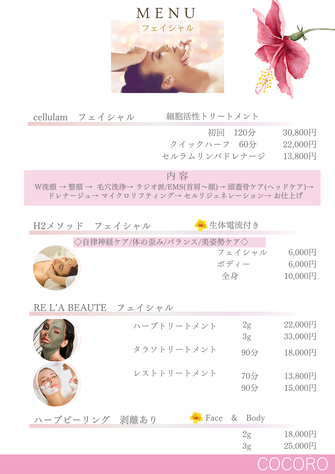 フェイシャルメニュー