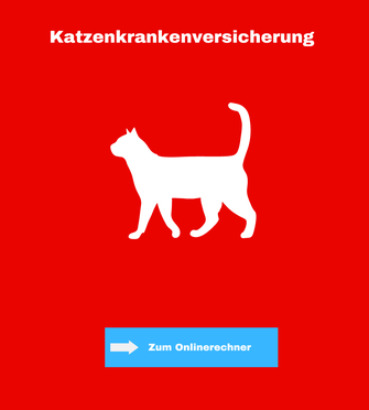 Onlinerechner Katzenkrankenversicheurng - Policenschreck