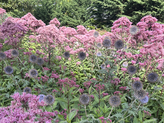 Organic lawn maintenance