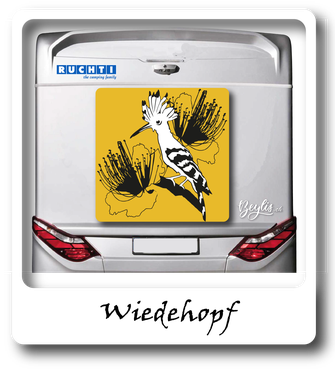 Ruchti Wohnmobile 