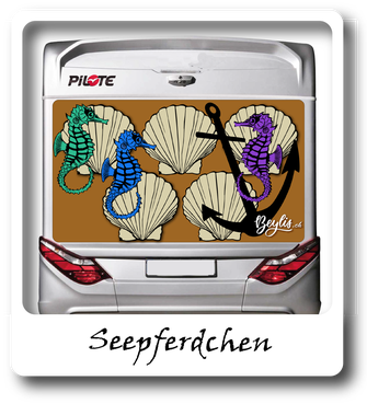 Pilote Camper und Wohnmobile