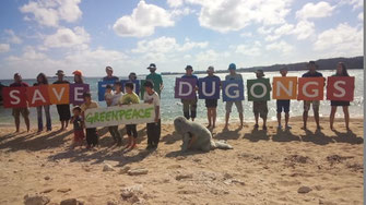 グリンピース　大浦湾　瀬嵩　浜　ビーチ　save the dugongs  ジュゴン　