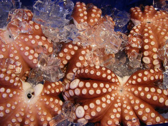 Fischmarkt Oktopus Italien
