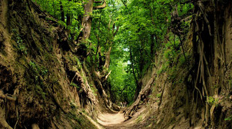 Königin-Hedwig-Schlucht, Polen