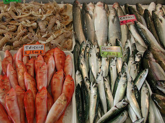 Fischmarkt Fische Toskana
