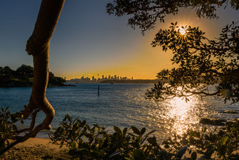 Australien, Sydney, Watsons Bay, Sunset Watsons Bay, Sunset Sydney, Sydney Sunset, Camp Cove, Camp Cove Beach, Camp Cove Sunset, Camp Cove Watsons Bay, Camp Cove Sydney