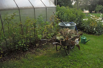 Voll beladene Schubkarre vor dem Gewächshaus - Flora, Gewächshaus, Garten, Gärtner, Gartenhäuser, Gemüse, Hochbeet, Ernte