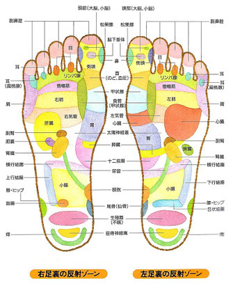 足 つぼ マッサージ 効果
