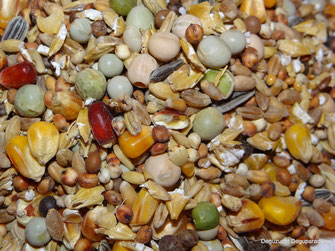 Körner Mix